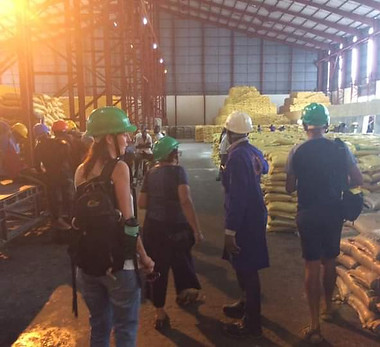 WhatsApp Image 2022-04-14 at 15.19.27.jpeg