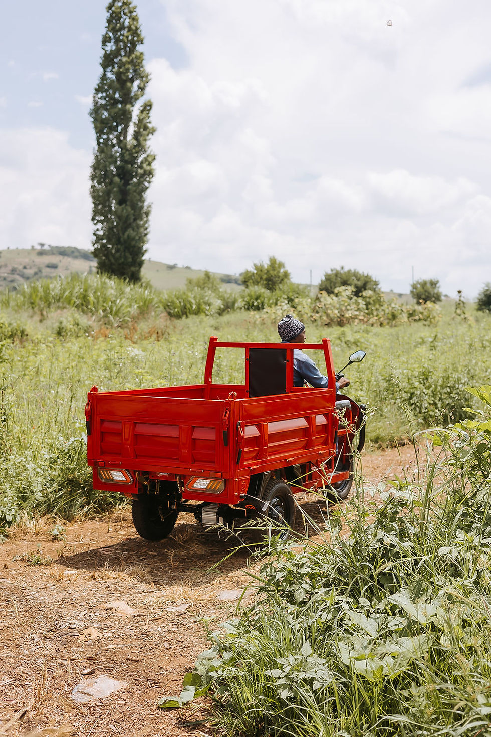 Red mini truck in nature