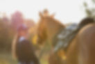 8D4A1125-3_edited.jpg