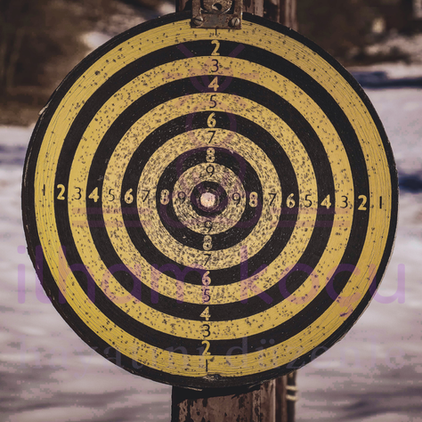 Hedef Belirlemenin Sırları: Hayatını 1 Yılda Değiştiren Sistem