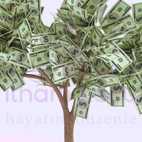 Para Bilincini Keşfet - Kendini Tanı