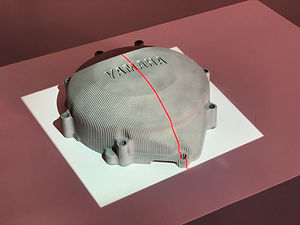 IMG_3612.jpeg