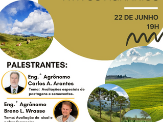 Webinar