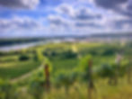 Rheinhessen Rhein Valley Vineyards