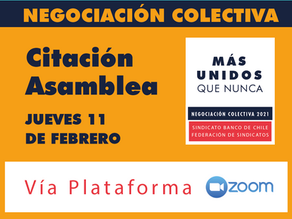 Citación Asamblea 11 feb 2021