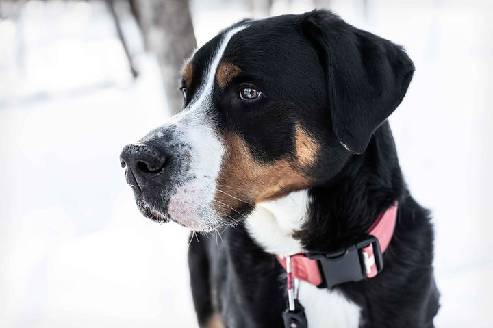 Alex Vainstein Photography--19.jpg