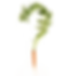 Clients' Reviews.png