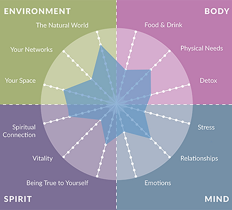 12 Health Creation Principles