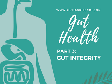 Optimising Your Gut Health PART 3: Gut Integrity