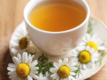 Chamomile Flower: Tiny Wonder of Nature for Sleep and Relaxation
