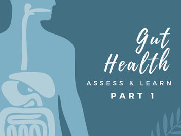 Optimising Your Gut Health PART 1: Digestion & Absorption