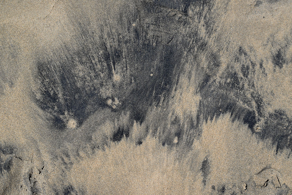 S1