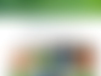 Was einer allein nicht schafft …