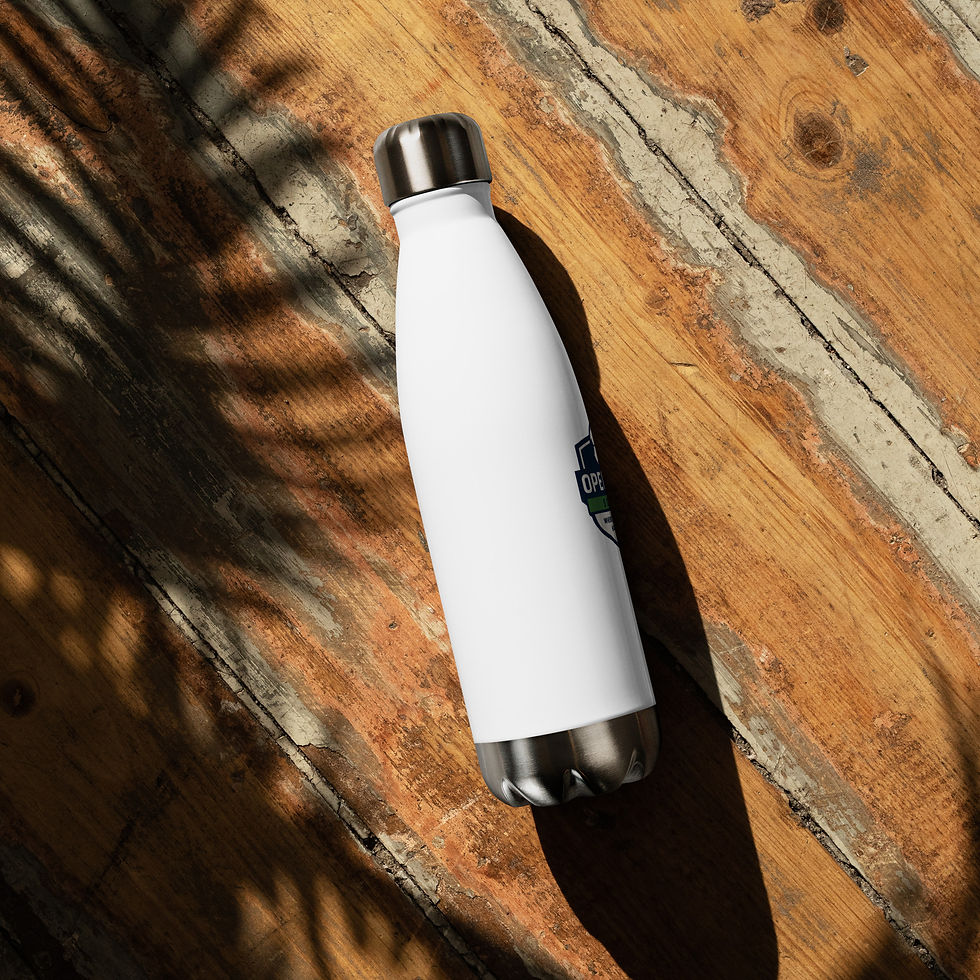 Thumbnail: Stainless steel water bottle