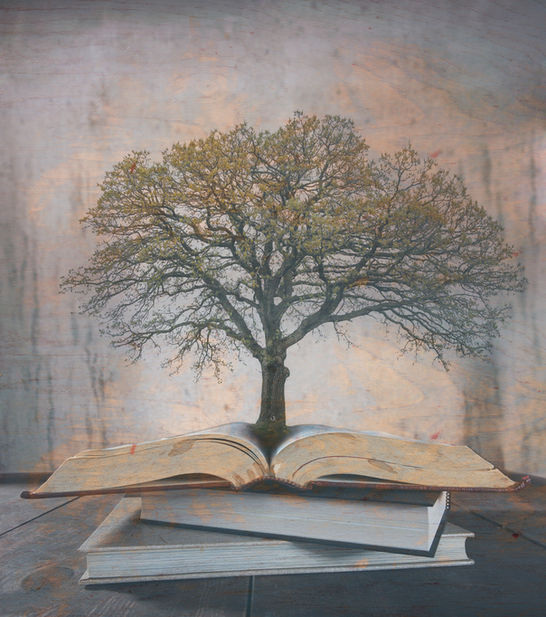 祖先からの影響：呪いを解放し、新たな未来を築く