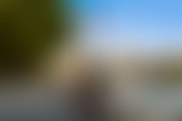 王になれなかった悔しさ、呪いの代償