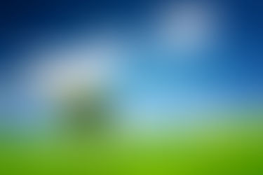 身体の細胞は覚えている！