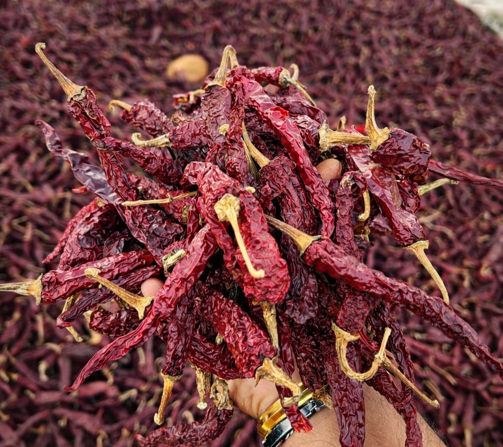 Dry Chillies