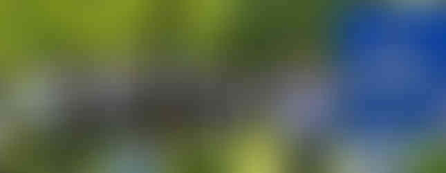 Totem do Simulador e Plataforma Pecuaria.io no Dia de Campo - 50 anos Embrapa Pecuária Sul