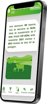 Simulaçãos de Metas Simulador Cria - Pecuaria.io