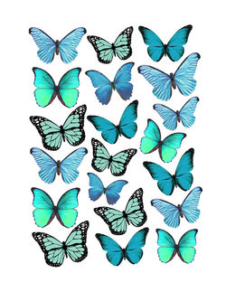 Teal