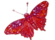 Schmetterling%2520mit%2520schwarzem%2520