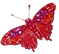 Schmetterling%2520mit%2520schwarzem%2520