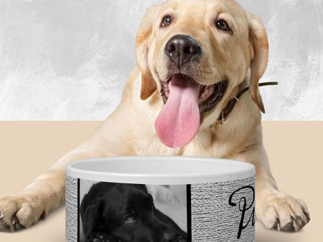 Top 5! Rustic Grey Dog`s Name in Black Script 2 Photo Bowl
