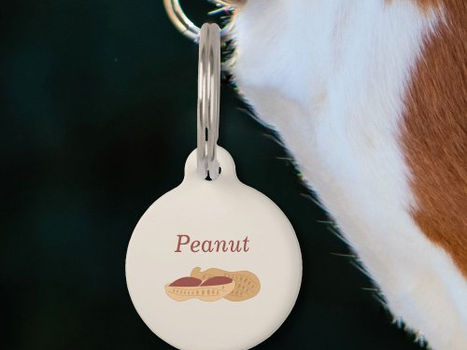 Top 10! Peanut Pet Tag