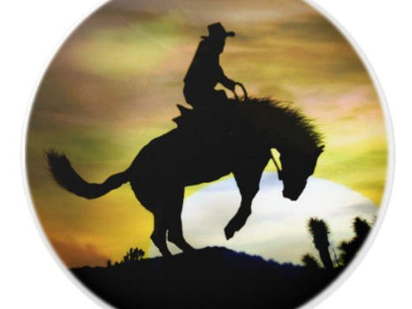 Review Cowboy and Bucking Horse Knobs and Pulls