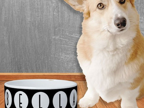 Review Deco Dots White on Black Personalized Text Pet Bowl