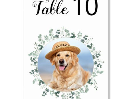 Top 5! Eucalyptus Greenery Modern Dog Photo Pet Wedding Table Number