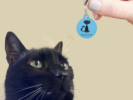 Big Deals! Cute Black Cat Kitty Name Address Blue Pet ID Tag
