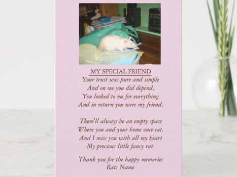 Review Rat and pet sympathy original poem card