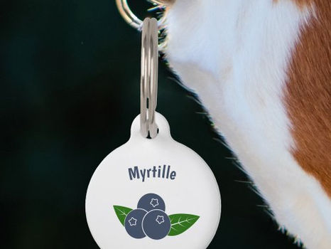 Big Deals! Blueberry Pet Tag