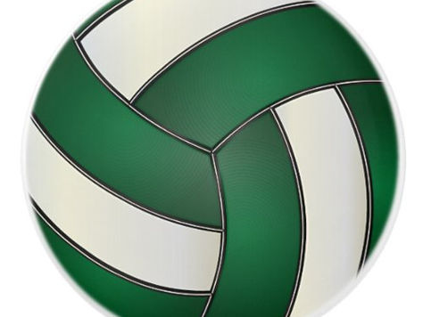 Hot Review! Dark Green and White 🏐 Volleyball Ceramic Knob