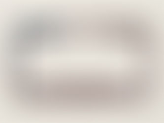 Top 10! Vintage Stars & Spangled US American Flag. License Plate Frame