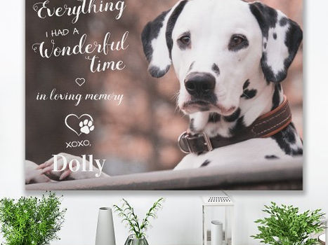 Big Deals! Thanks For Everything Pet Loss Dog Memorial Photo Faux Canvas Print