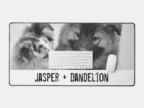 Top 10! Simple, Modern Custom Pet or People Photo Desk Mat