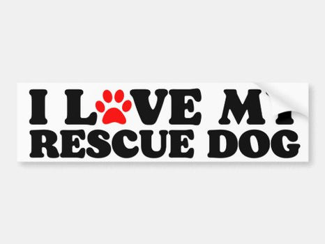 Best Deals! i love my rescue dog bumper sticker