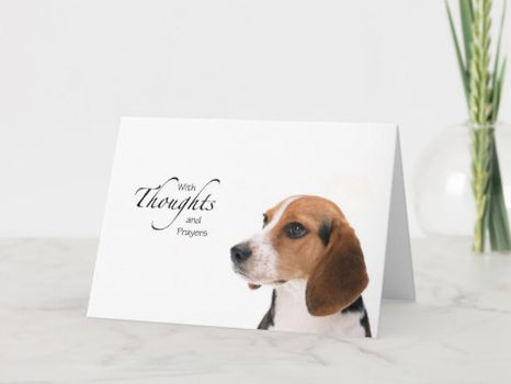 Best Deals! Dog Thoughts and Prayers Card
