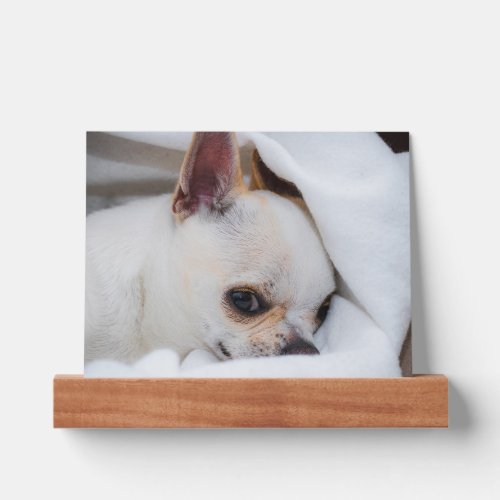 Custom alt text