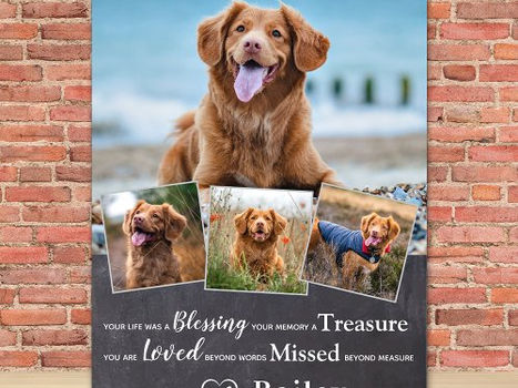 Best Price! Pet Memorial Dog Loss Remembrance Poem 4 Photo Plaque