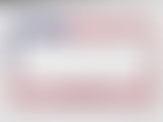 Hot Deals! Custom American Flag And Text License Plate Frame