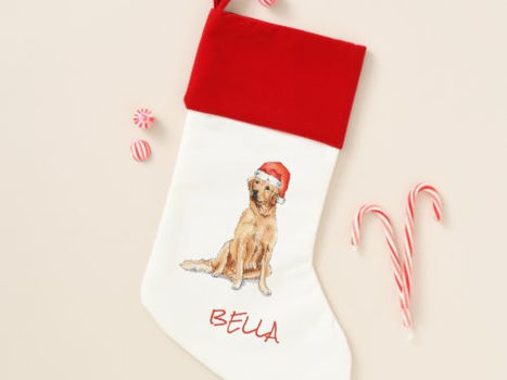 Big Deals! Cute Golden Retriever in Santa hat Christmas Stocking