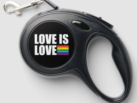Review Love is Love Retractable Pet Leash