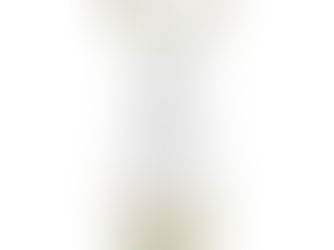 Best Deals! Pastel Peach Flowers & Thank You Typography Wine Bag