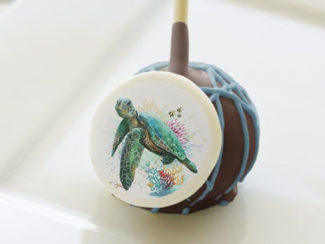 Hot Review! Sea turtle underwater watercolor Style Cake Pops