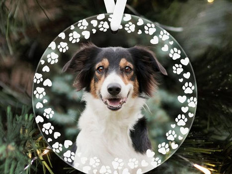 Top 10! Paw Prints and Hearts Frame Custom Pet Photo Ornament