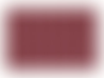 Big Deals! Flower Bouquet Burgundy Personalized Pet Mat